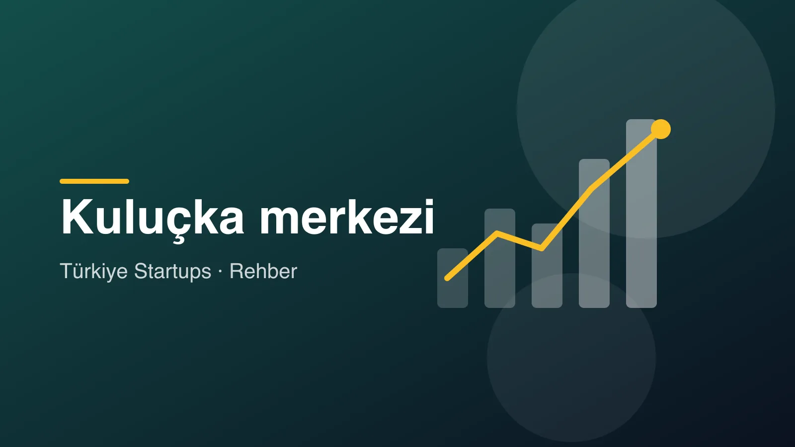 Cover illustration for the guide: How to choose an incubator in Turkey: 8 criteria