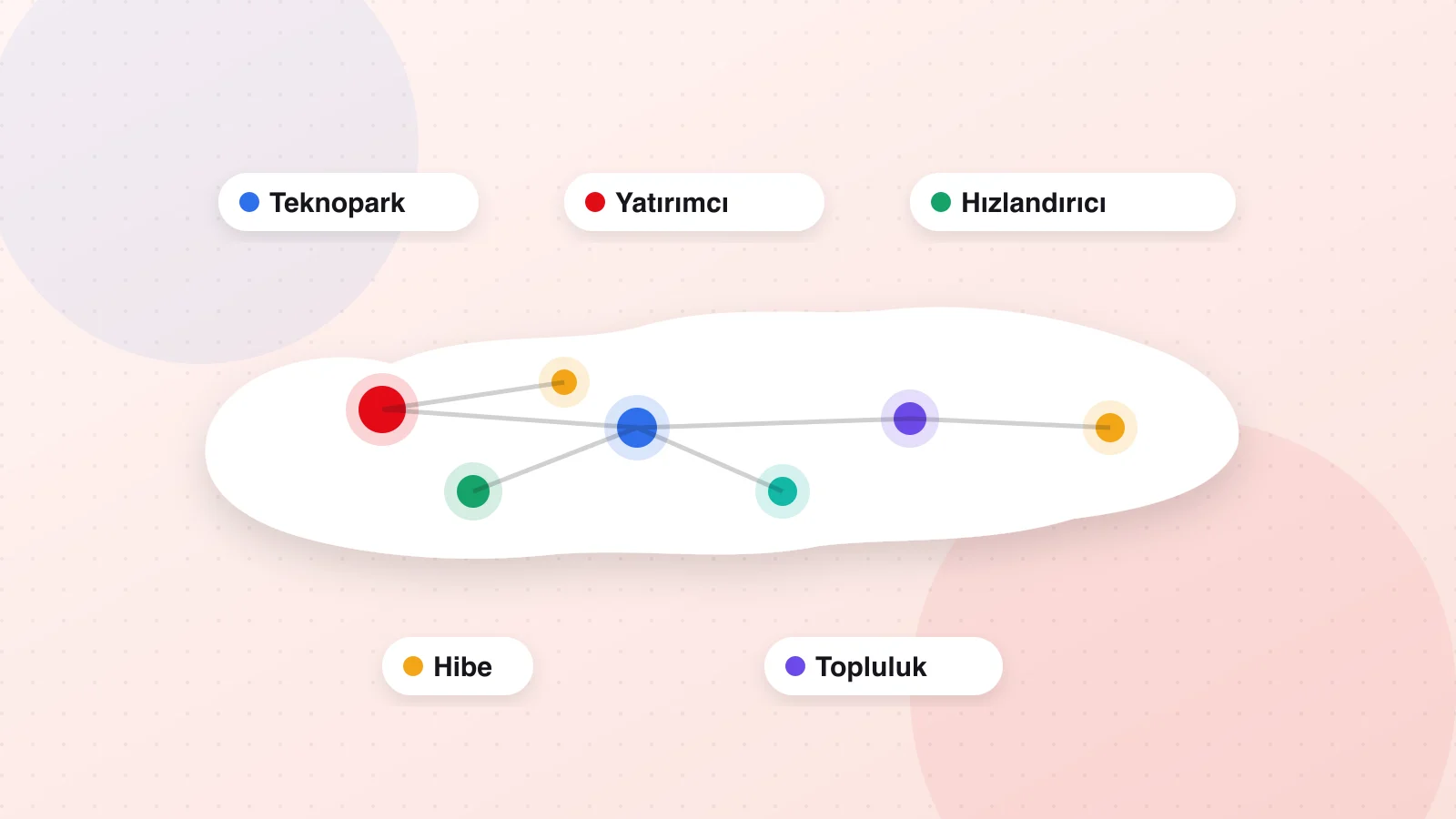 Illustration of connected ecosystem actors on a map of Türkiye